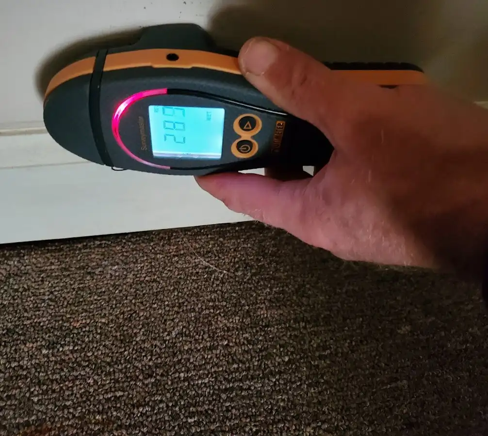 Moisture detection at baseboard during Sewage Cleanup & Sanitation in Acton